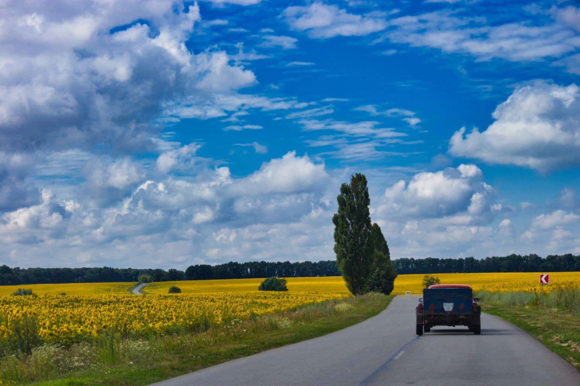 The Rise of Biofuels & Alternative Powertrains in Everyday Driving