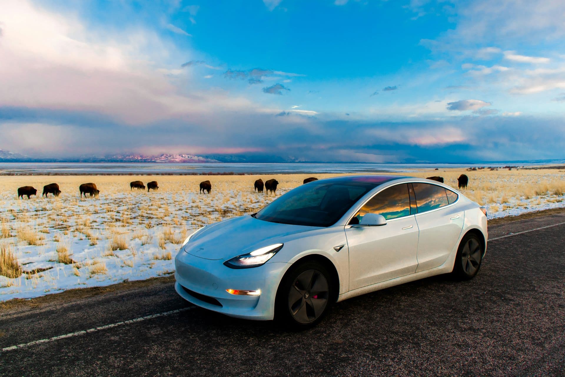 Influencer-Led EV Campaigns to Boost Consumer Adoption