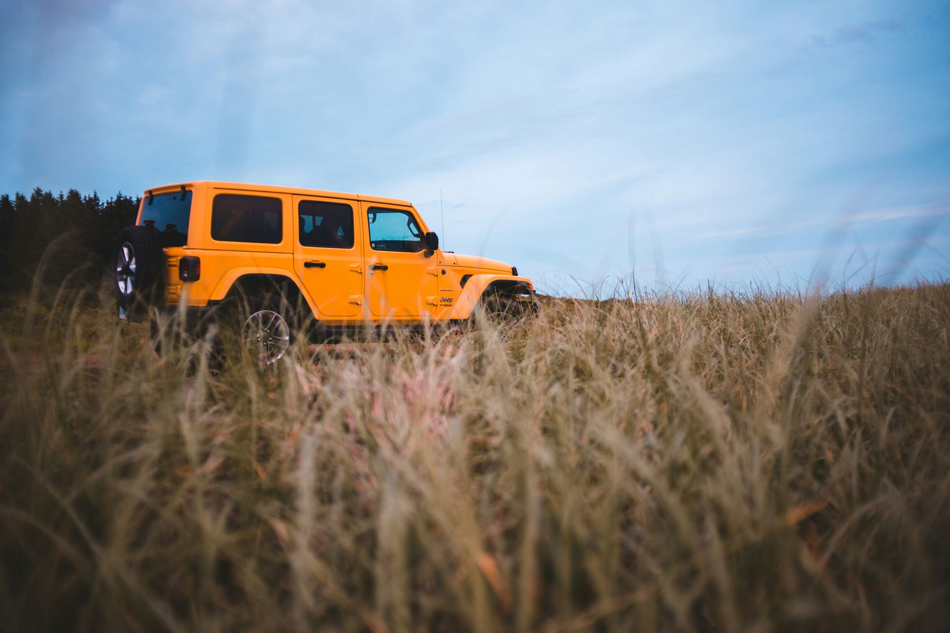 Winning Rural SA Car Buyers Through Real Connection-2