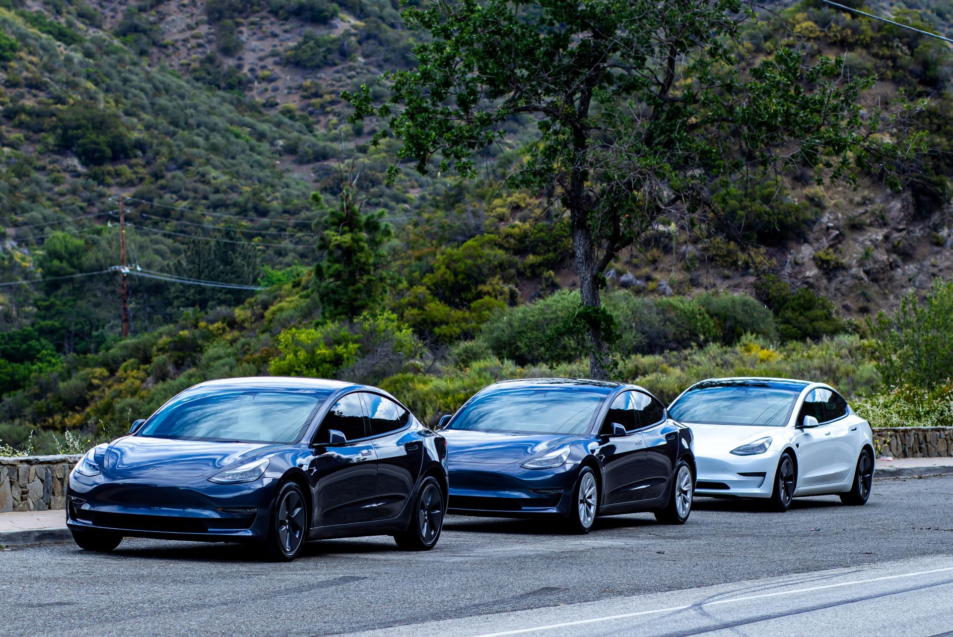 Cars and Sustainability Marketing That Feels Real-2