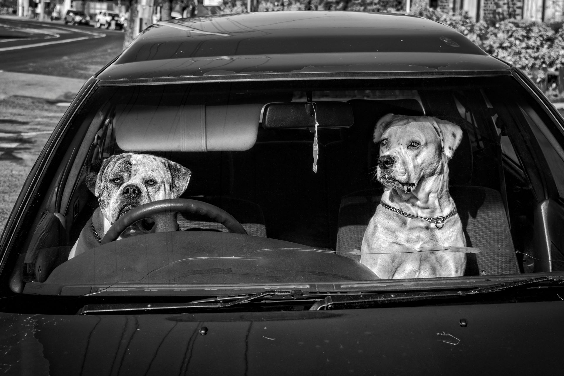 Driving Laughter Humor in Automotive Advertising-1