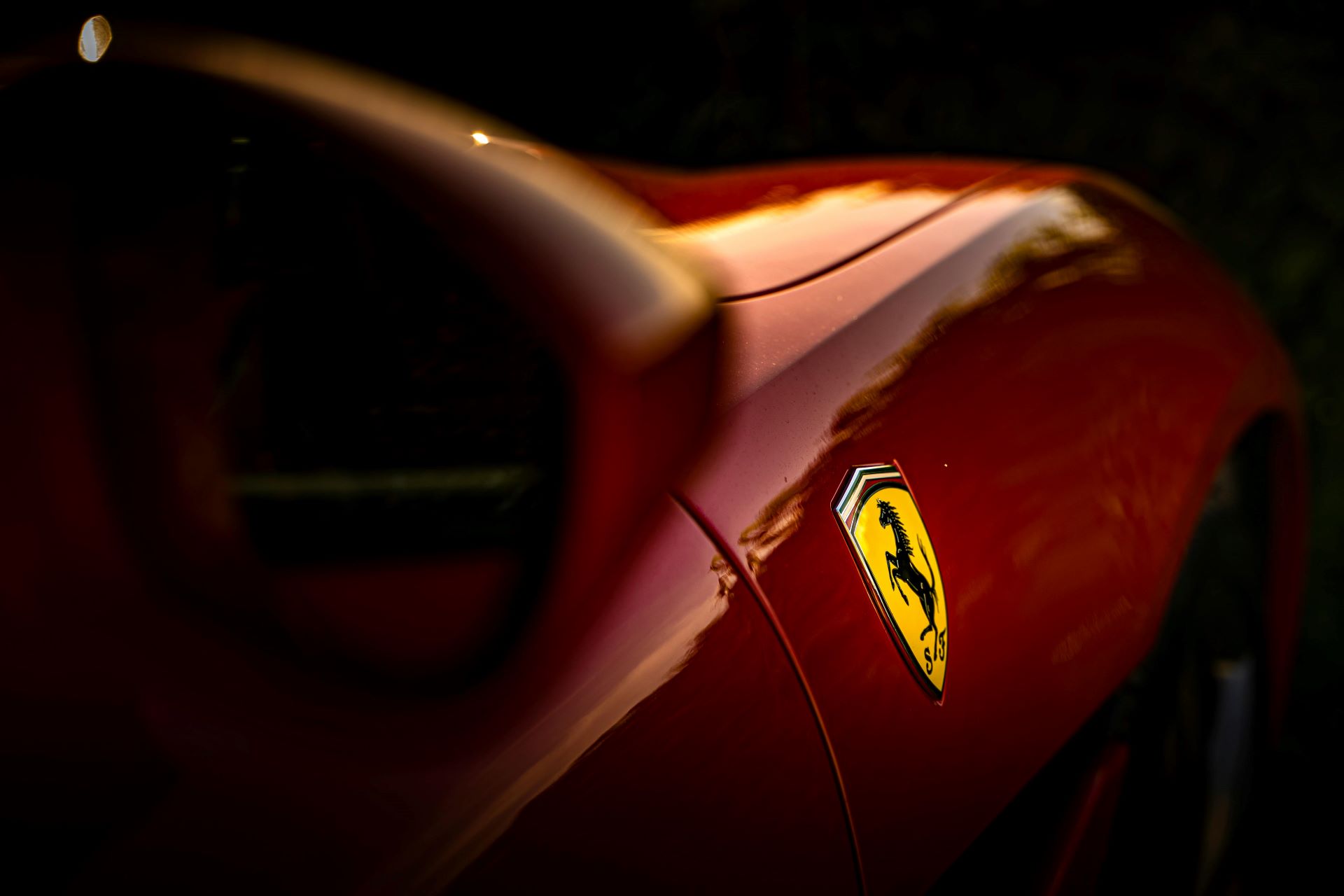 From Instagram Reels to Reality Turning Short-Form Video into Long-Term Brand Loyalty