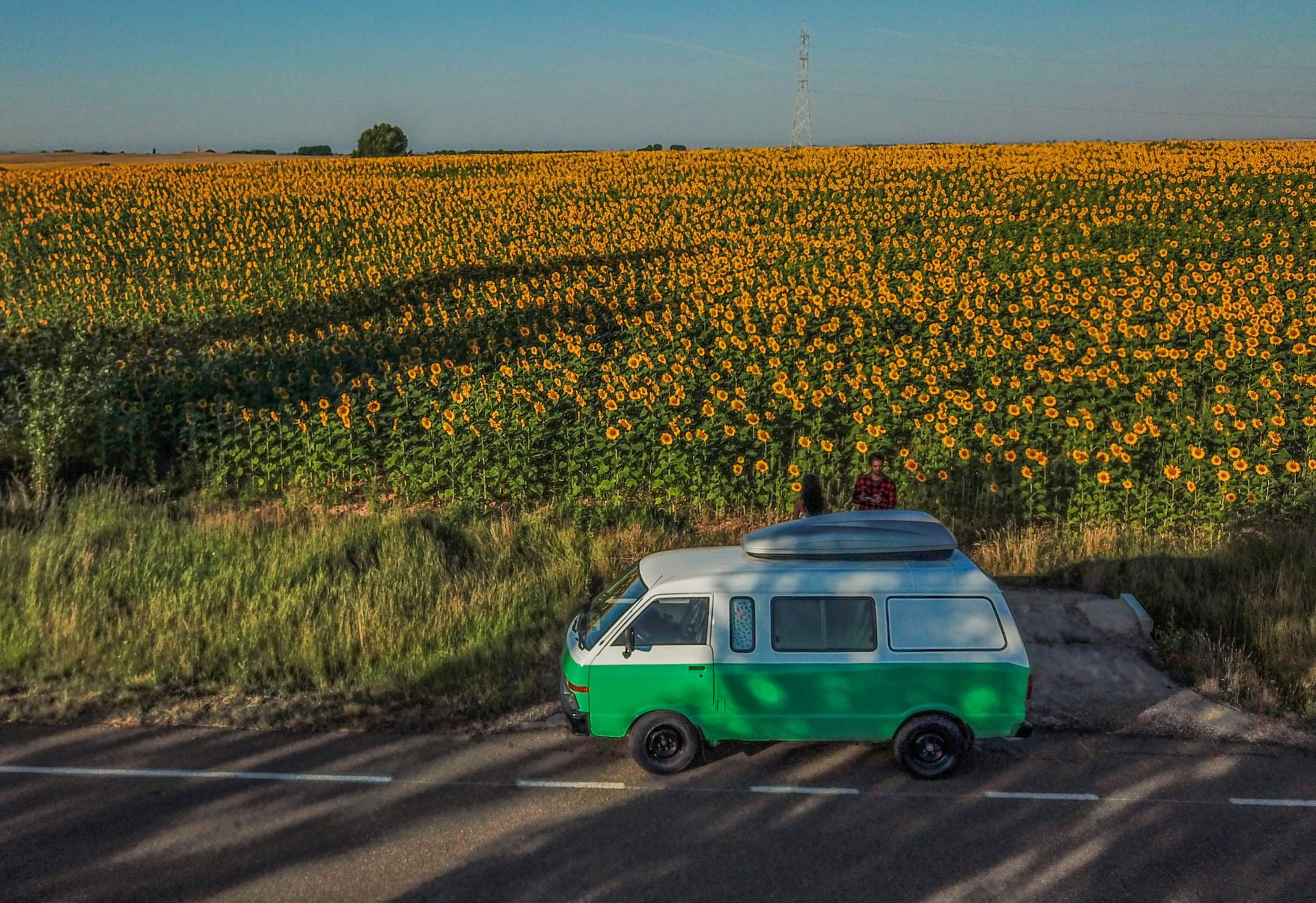 The Rise of Biofuels & Alternative Powertrains in Everyday Driving-1