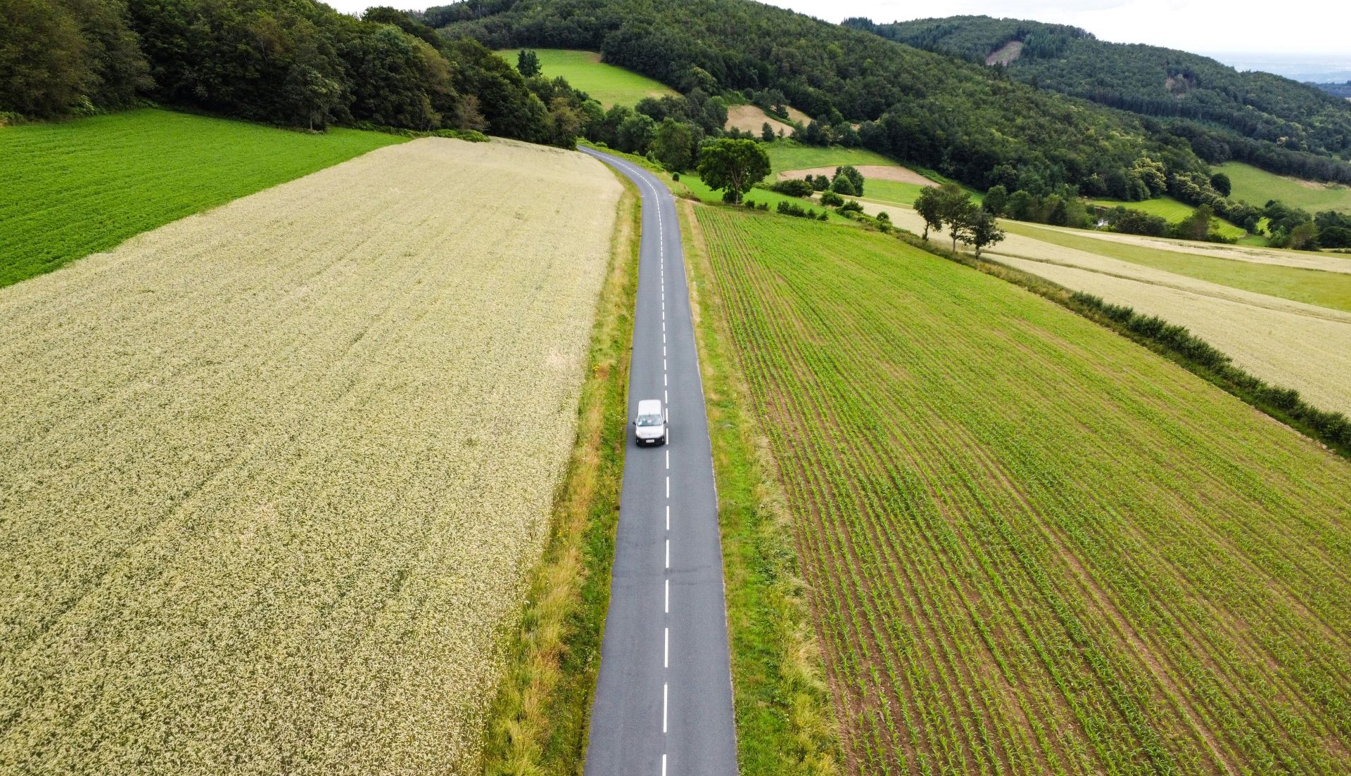 The Rise of Biofuels & Alternative Powertrains in Everyday Driving