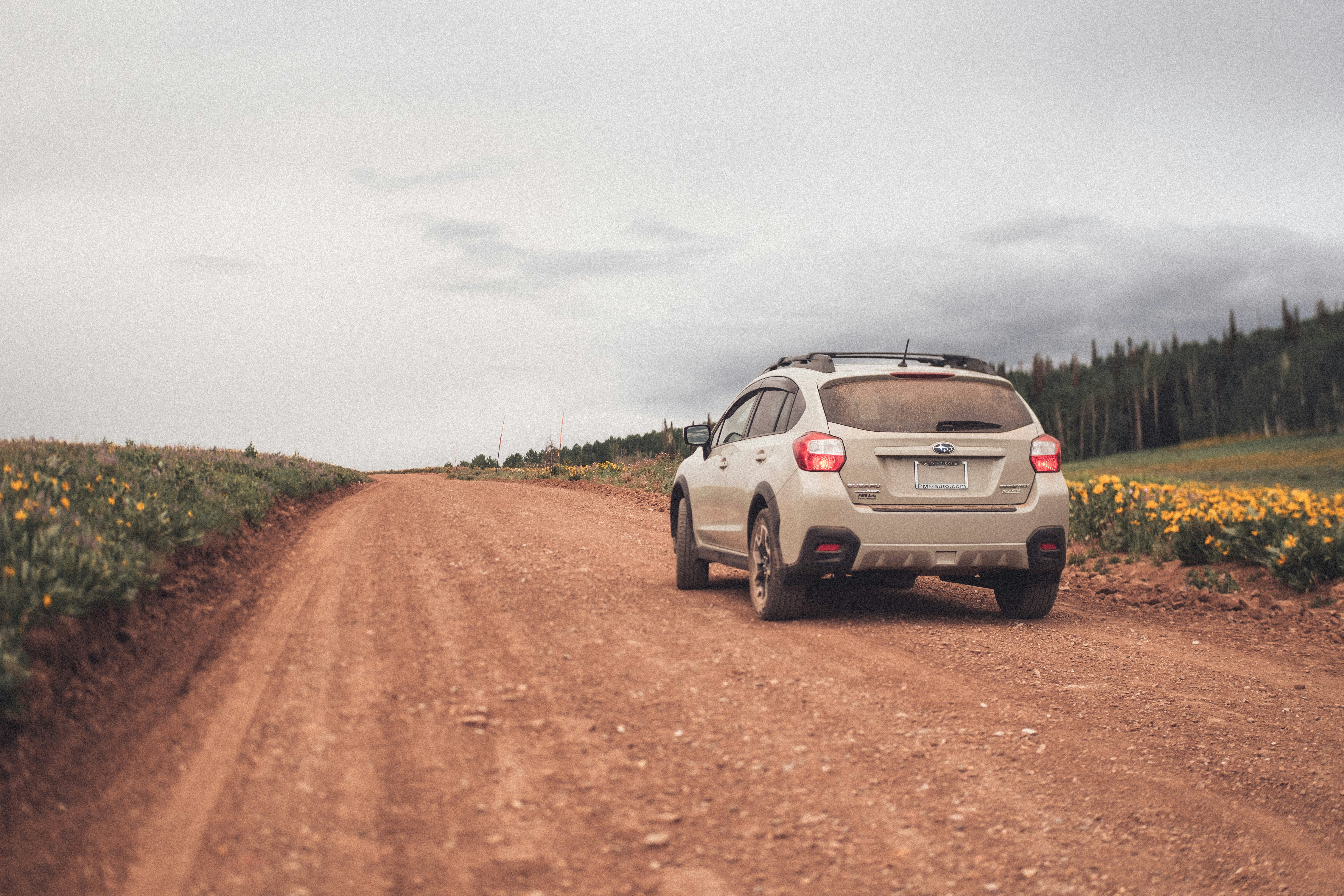 Winning Rural SA Car Buyers Through Real Connection-1
