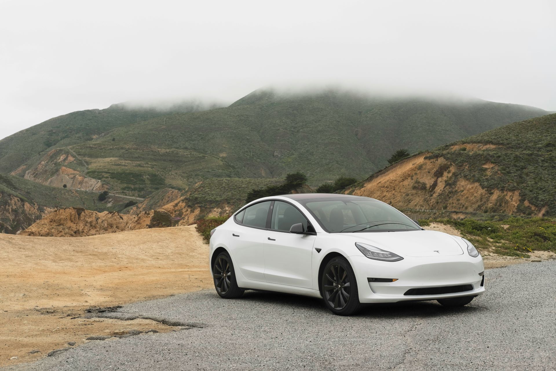 driving-green-marketing-electric-vehicles-in-fossil-fuel-dominant-markets-1.jpg