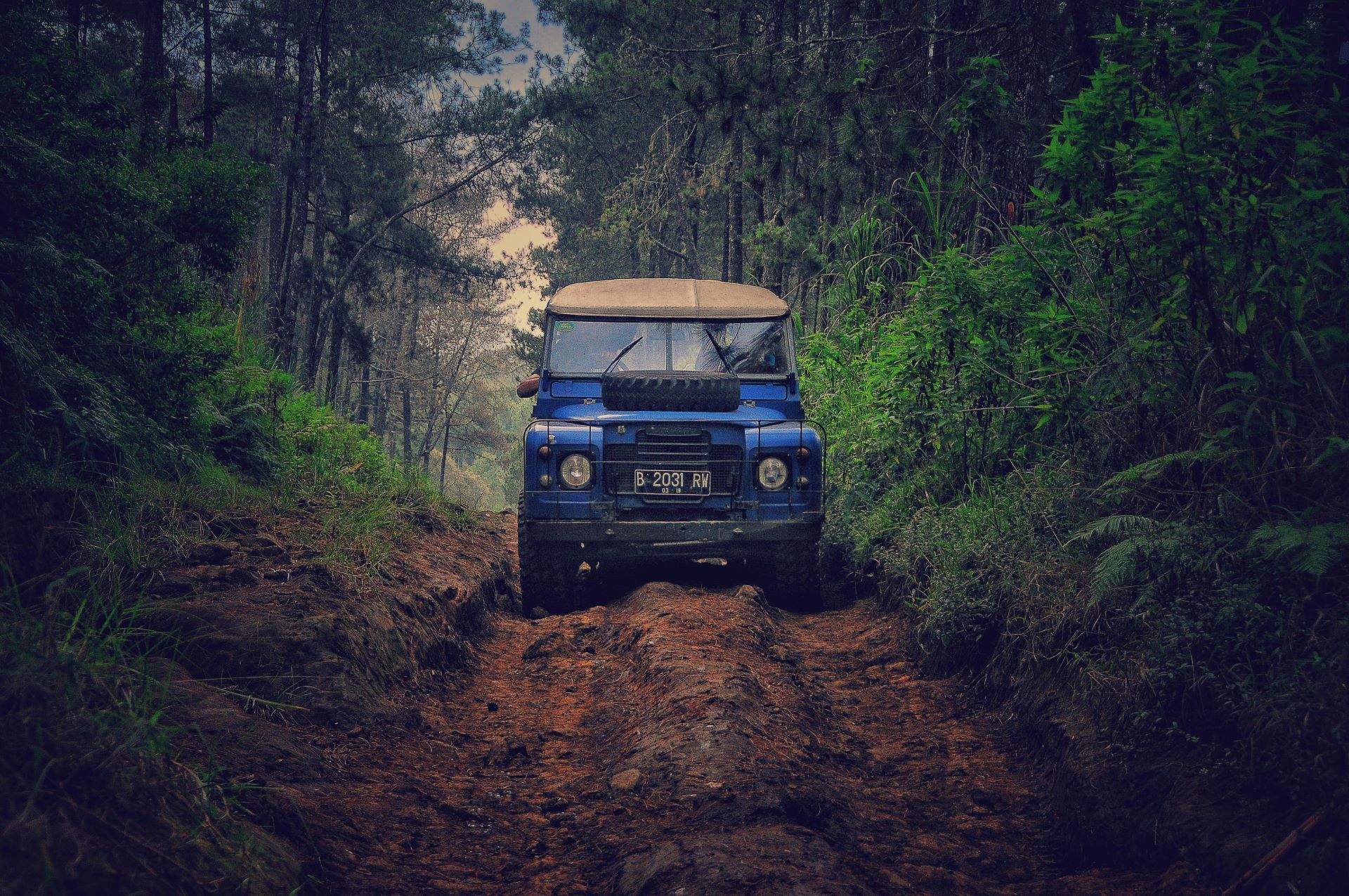 from-roads-to-adventure-lifestyle-campaigns-that-connect-emotionally-1.jpg