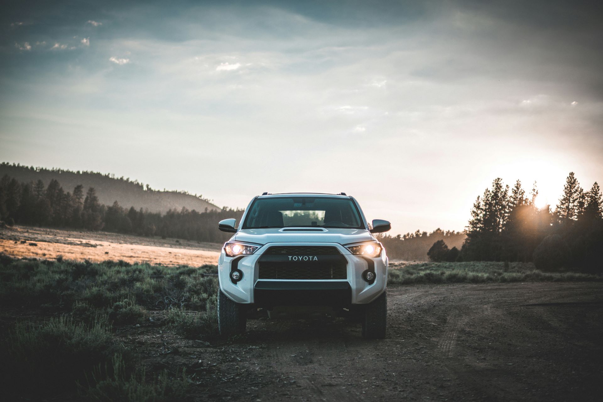 how-car-brands-are-using-emotional-marketing-to-strengthen-brand-loyalty-2.jpg