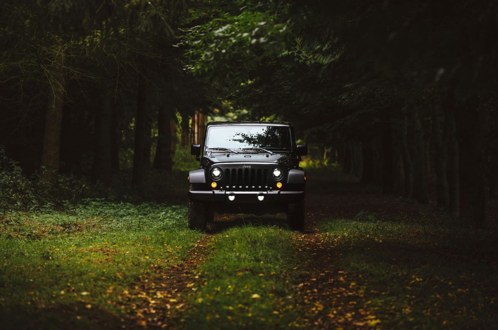 the-future-of-automotive-advertising-predictions-for-the-next-decade-1-1629x1080.jpg