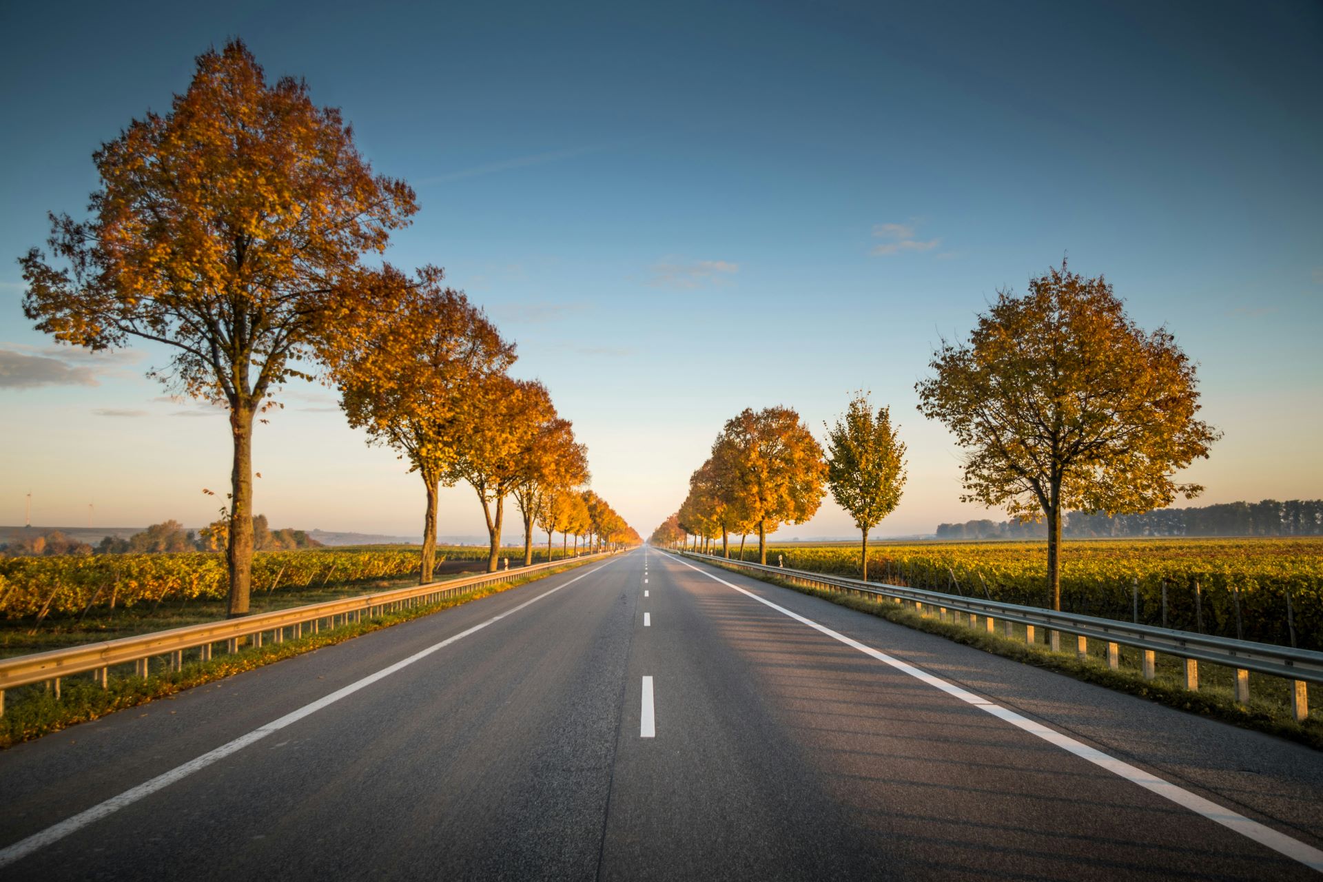 urban-jungle-vs-open-road-how-setting-defines-automotive-messaging-1.jpg