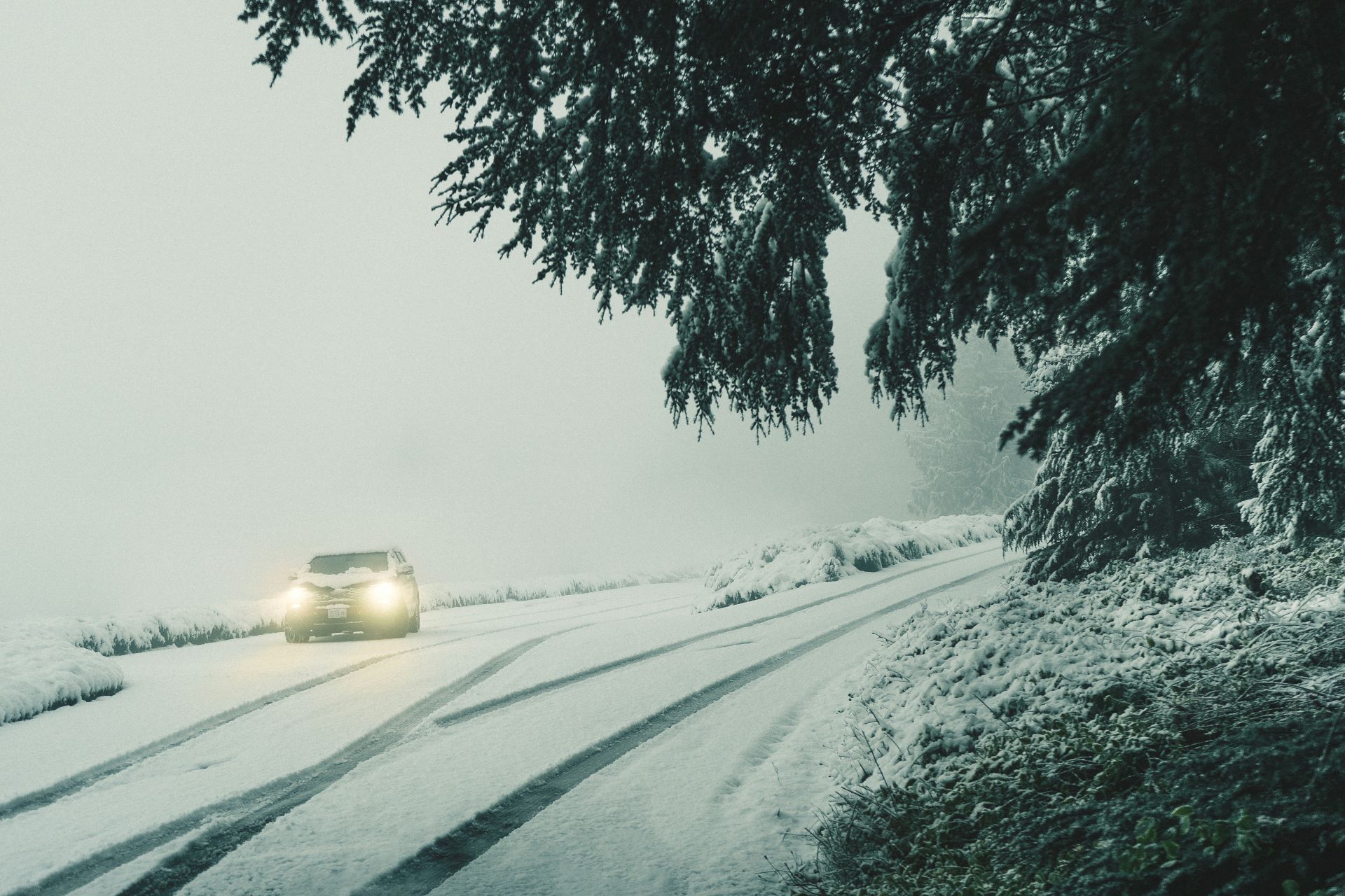 what-the-automotive-sector-can-learn-from-the-fashion-industrys-seasonal-marketing.jpg