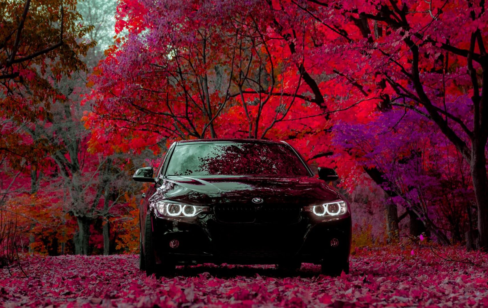 why-the-car-enthusiast-is-your-best-influencer-1-1711x1080.jpg